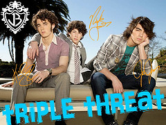 2500162781_dd7fe166f6_m.jpg