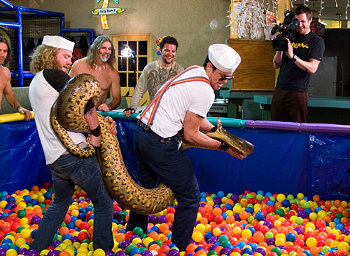 jackass-02.jpg